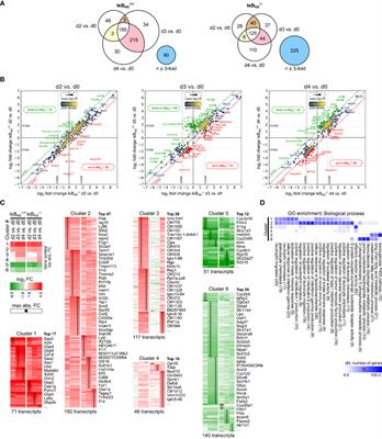 IκBNS-deficiency protects mice from fatal Listeria monocytogenes infection by blunting pro-inflammatory signature in Ly6Chigh monocytes and preventing exaggerated innate immune responses